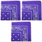 3 Pack Paisley Cotton Bandanas Classic Western Style Headwear